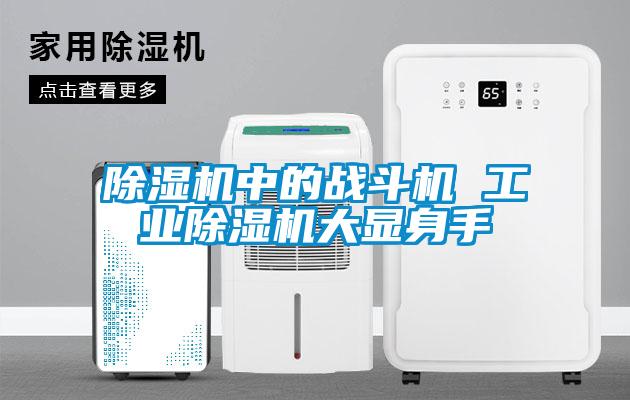欧美黄色电影在线播放 除湿机中的战斗机 工业除湿机大显身手