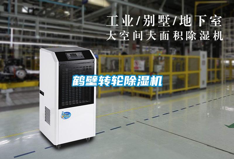 欧美黄色性爱视频网站 鹤壁转轮除湿机