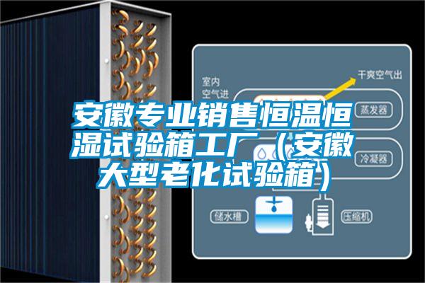 欧美黄色电影在线播放 安徽专业销售恒温恒湿试验箱工厂（安徽大型老化试验箱）