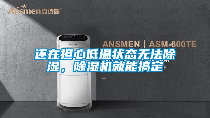 欧美成色手机在线观看 还在担心低温状态无法除湿，除湿机就能搞定