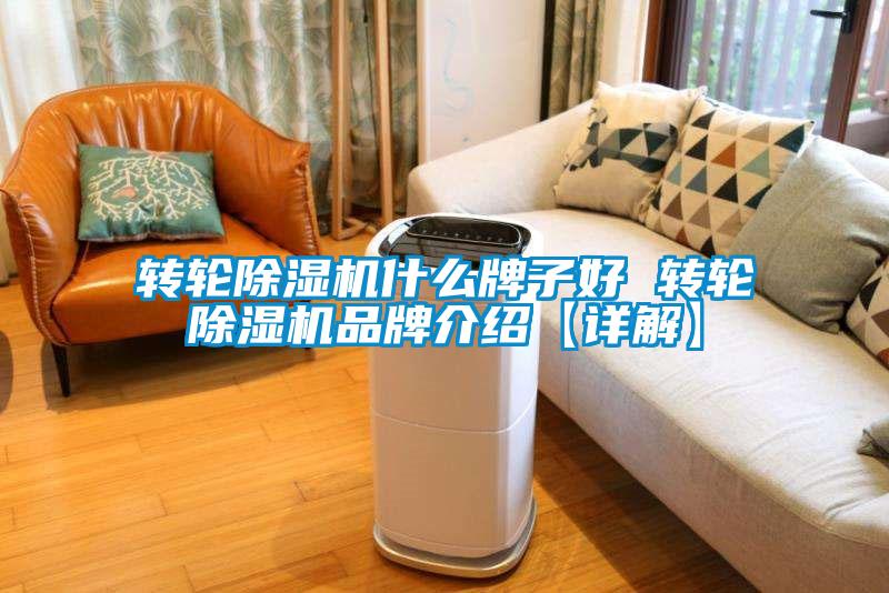 欧美黄色电影在线播放 转轮除湿机什么牌子好 转轮除湿机品牌介绍【详解】