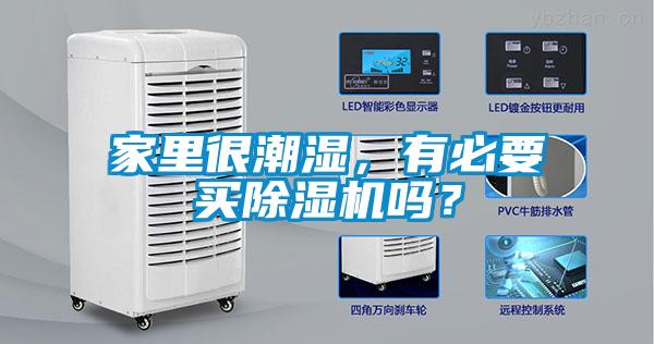 欧美黄色性爱视频网站 家里很潮湿，有必要买除湿机吗？