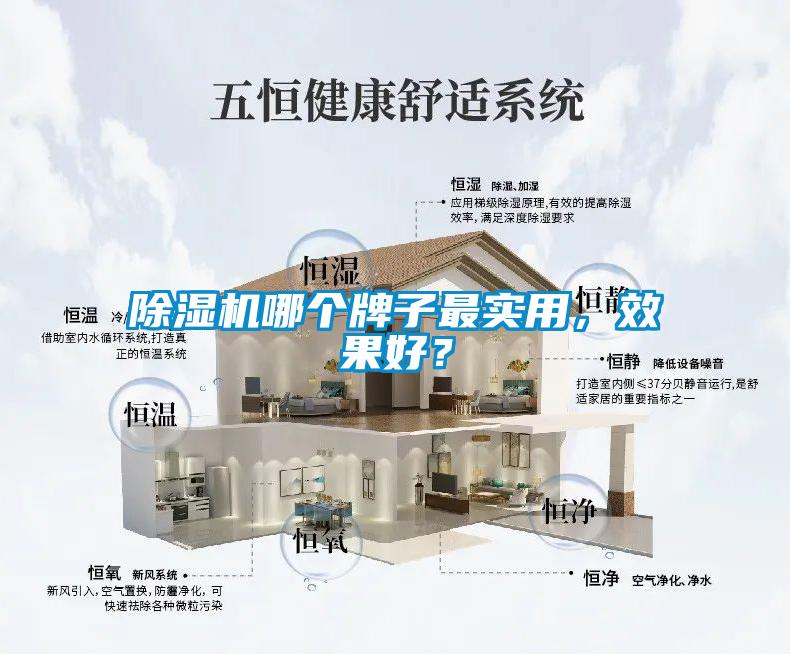 欧美成色手机在线观看 除湿机哪个牌子最实用，效果好？