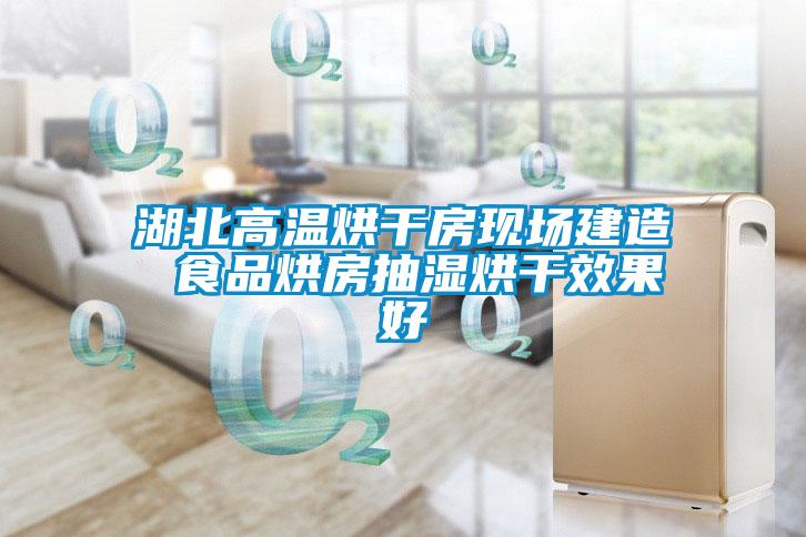 欧美成色手机在线观看 湖北高温烘干房现场建造 食品烘房抽湿烘干效果好