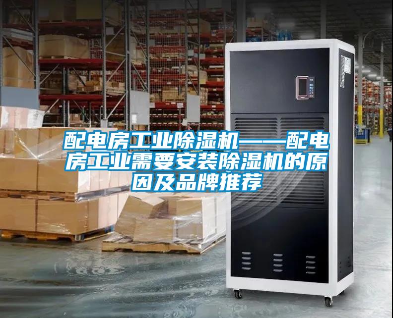 欧美黄色性爱视频网站 配电房工业除湿机——配电房工业需要安装除湿机的原因及品牌推荐