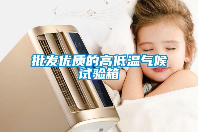 欧美黄色性爱视频网站 批发优质的高低温气候试验箱