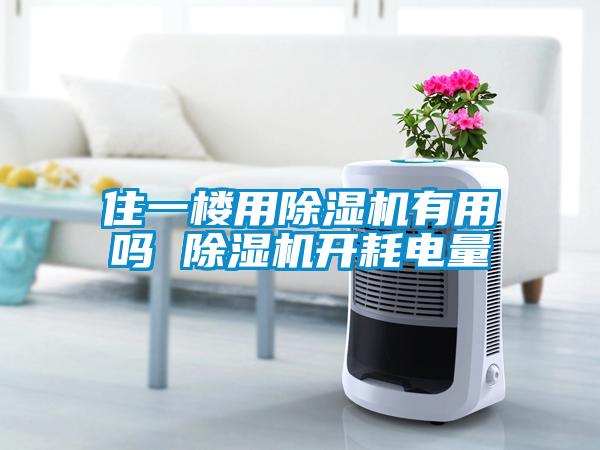 欧美成色手机在线观看 住一楼用除湿机有用吗 除湿机开耗电量
