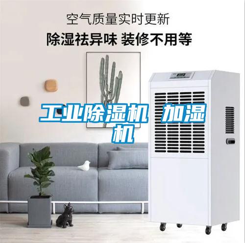 欧美黄色性爱视频网站 工业除湿机 加湿机