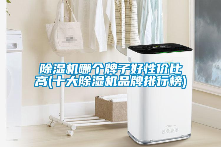 欧美成色手机在线观看 除湿机哪个牌子好性价比高(十大除湿机品牌排行榜)