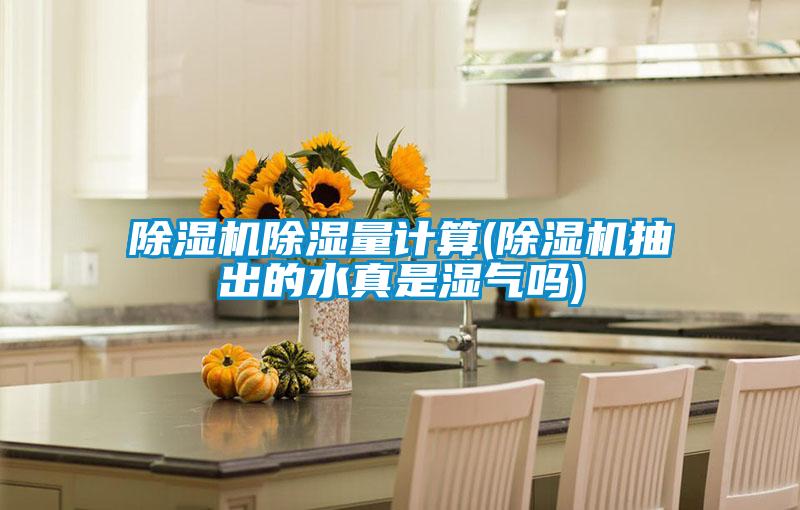 欧美黄色性爱视频网站 除湿机除湿量计算(除湿机抽出的水真是湿气吗)