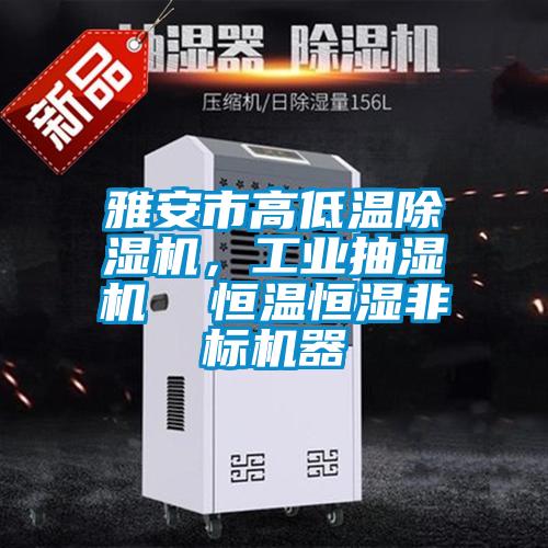 欧美成色手机在线观看 雅安市高低温除湿机，工业抽湿机  恒温恒湿非标机器