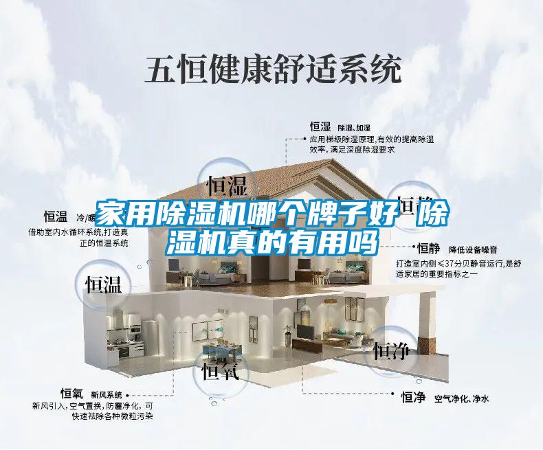 欧美黄色性爱视频网站 家用除湿机哪个牌子好 除湿机真的有用吗