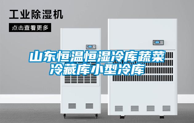 欧美成色手机在线观看 山东恒温恒湿冷库蔬菜冷藏库小型冷库