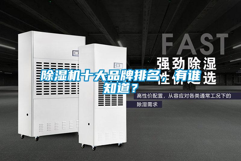 欧美黄色性爱视频网站 除湿机十大品牌排名，有谁知道？