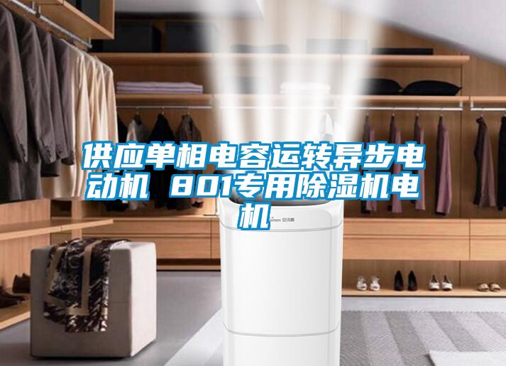 欧美成色手机在线观看 供应单相电容运转异步电动机 801专用除湿机电机