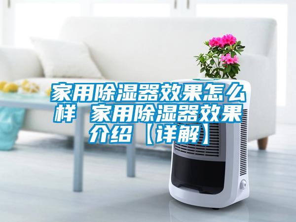 欧美成色手机在线观看 家用除湿器效果怎么样 家用除湿器效果介绍【详解】