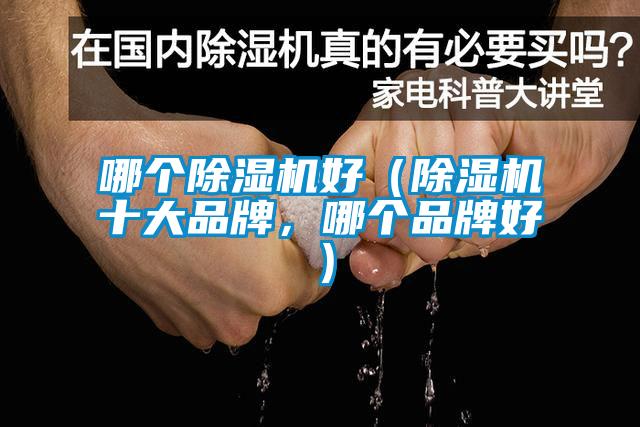 欧美成色手机在线观看 哪个除湿机好（除湿机十大品牌，哪个品牌好）