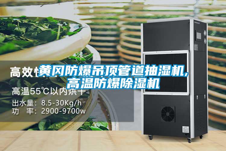 欧美成色手机在线观看 黄冈防爆吊顶管道抽湿机,高温防爆除湿机