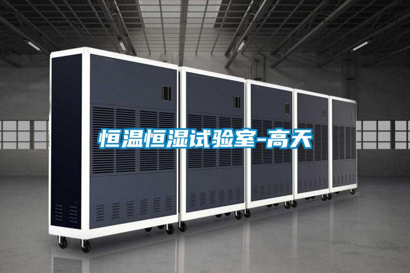 欧美黄色性爱视频网站 恒温恒湿试验室-高天