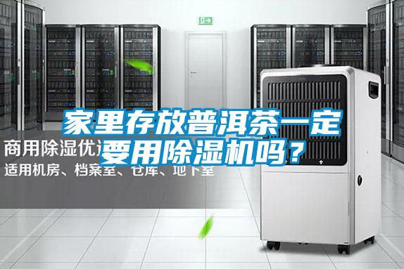 欧美黄色电影在线播放 家里存放普洱茶一定要用除湿机吗？