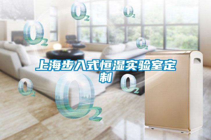 欧美成色手机在线观看 上海步入式恒湿实验室定制