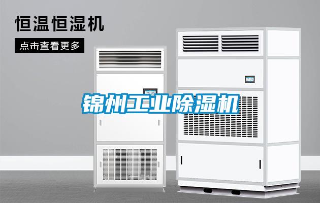 欧美黄色电影在线播放 锦州工业除湿机