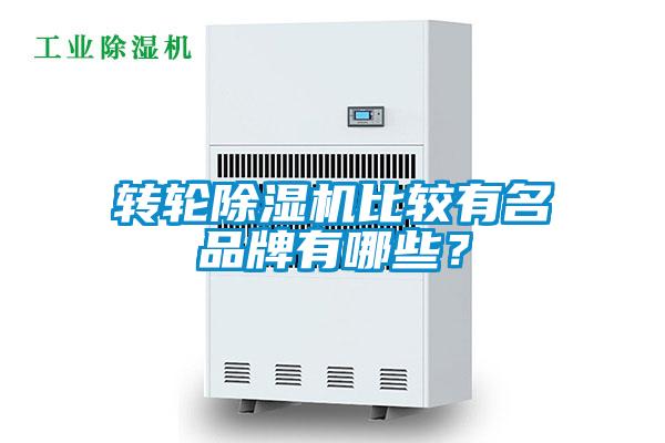 欧美黄色电影在线播放 转轮除湿机比较有名品牌有哪些？