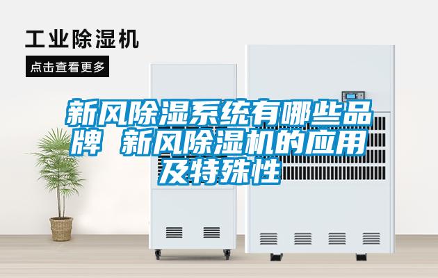 欧美黄色电影在线播放 新风除湿系统有哪些品牌 新风除湿机的应用及特殊性