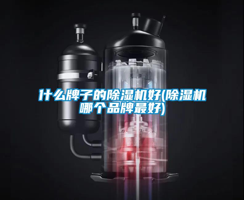 欧美黄色电影在线播放 什么牌子的除湿机好(除湿机哪个品牌最好)