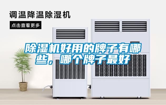 欧美黄色电影在线播放 除湿机好用的牌子有哪些，哪个牌子最好