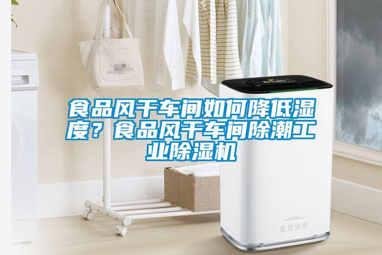 欧美黄色性爱视频网站 食品风干车间如何降低湿度？食品风干车间除潮工业除湿机