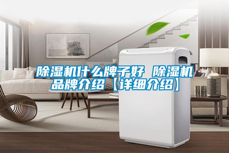 欧美黄色性爱视频网站 除湿机什么牌子好 除湿机品牌介绍【详细介绍】