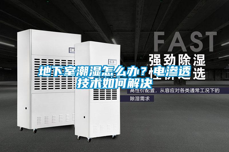 欧美成色手机在线观看 地下室潮湿怎么办？电渗透技术如何解决
