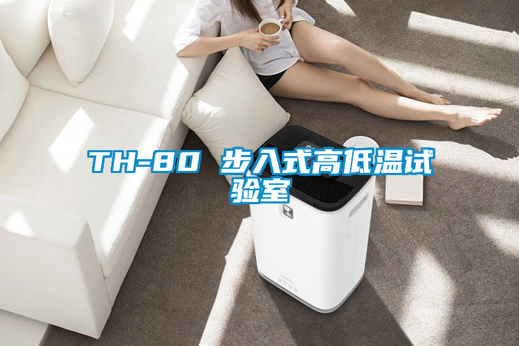 欧美成色手机在线观看 TH-80 步入式高低温试验室