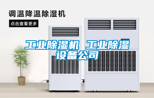 欧美黄色性爱视频网站 工业除湿机 工业除湿设备公司