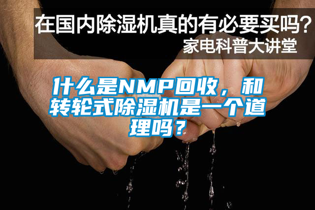 欧美黄色性爱视频网站 什么是NMP回收，和转轮式除湿机是一个道理吗？