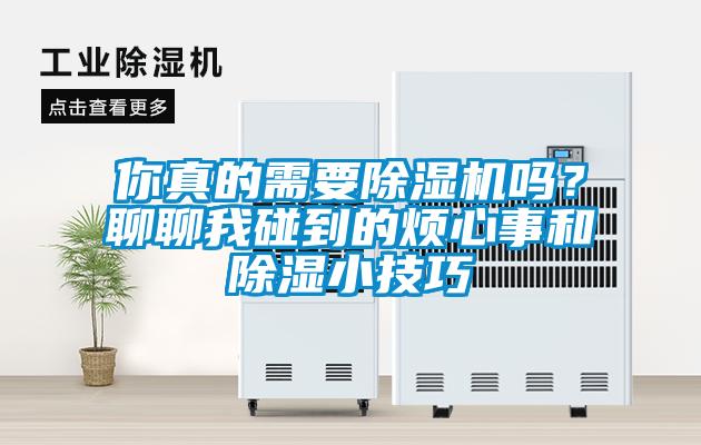 欧美黄色电影在线播放 你真的需要除湿机吗？聊聊我碰到的烦心事和除湿小技巧