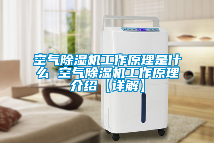 欧美黄色电影在线播放 空气除湿机工作原理是什么 空气除湿机工作原理介绍【详解】