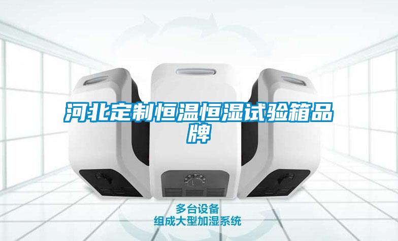 欧美黄色电影在线播放 河北定制恒温恒湿试验箱品牌