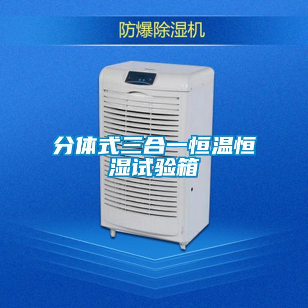 欧美黄色电影在线播放 分体式三合一恒温恒湿试验箱