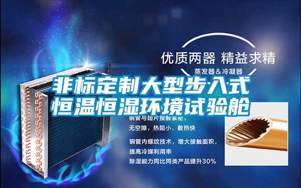 欧美黄色电影在线播放 非标定制大型步入式恒温恒湿环境试验舱