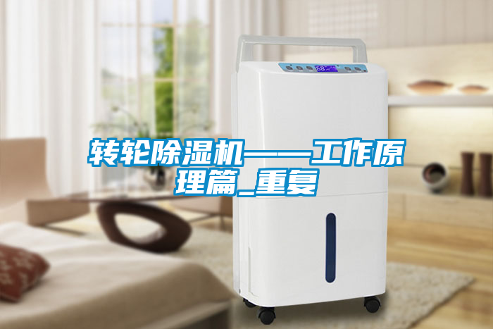 欧美黄色电影在线播放 转轮除湿机——工作原理篇_重复