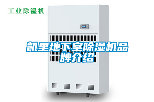欧美黄色电影在线播放 凯里地下室除湿机品牌介绍
