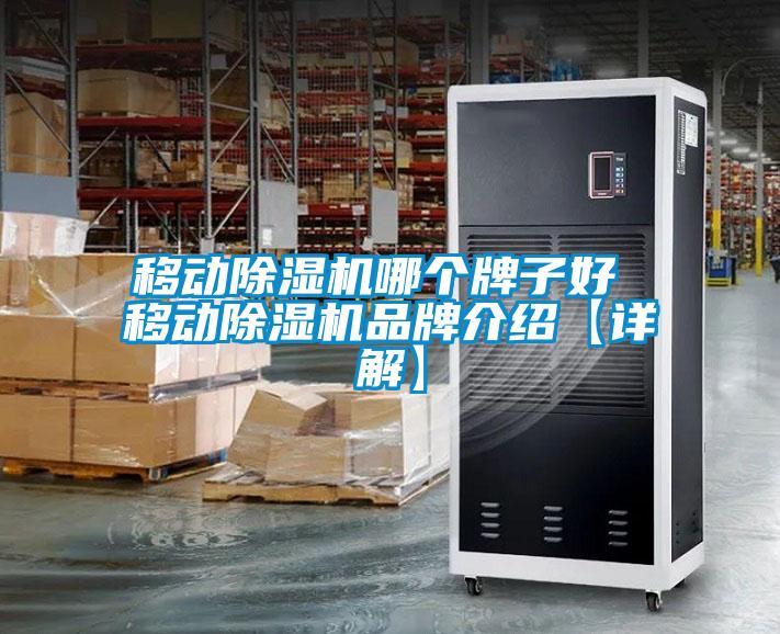 欧美黄色性爱视频网站 移动除湿机哪个牌子好 移动除湿机品牌介绍【详解】