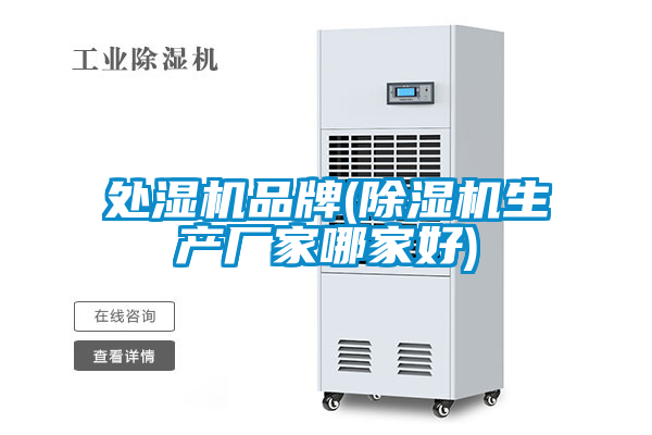 欧美黄色性爱视频网站 处湿机品牌(除湿机生产厂家哪家好)