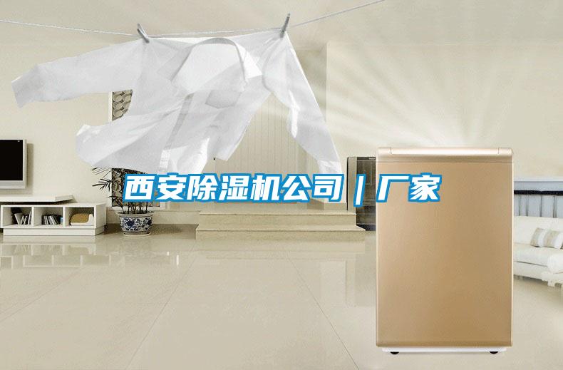欧美黄色电影在线播放 西安除湿机公司｜厂家