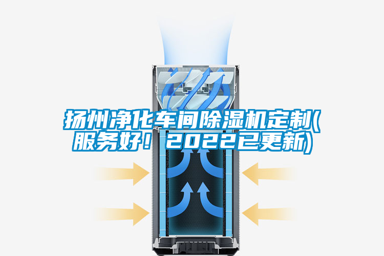 欧美黄色性爱视频网站 扬州净化车间除湿机定制(服务好！2022已更新)