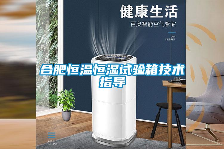 欧美黄色电影在线播放 合肥恒温恒湿试验箱技术指导
