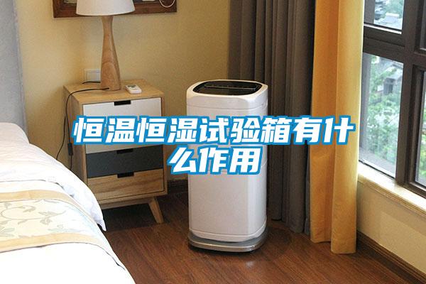 欧美黄色电影在线播放 恒温恒湿试验箱有什么作用