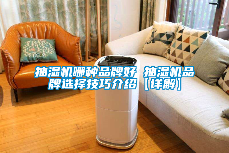 欧美黄色性爱视频网站 抽湿机哪种品牌好 抽湿机品牌选择技巧介绍【详解】